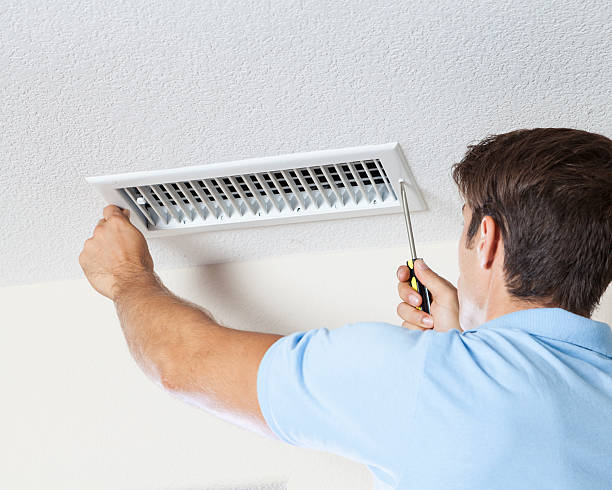 Best Attic Mold Removal  in Zephyrhills South, FL