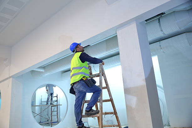 Best Commercial Mold Inspection  in Zephyrhills South, FL